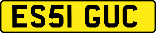 ES51GUC