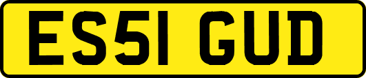 ES51GUD