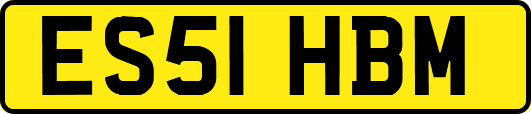 ES51HBM
