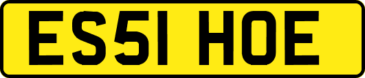 ES51HOE