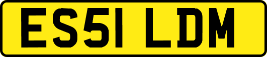 ES51LDM