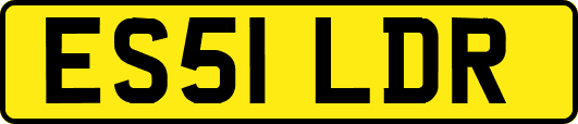 ES51LDR