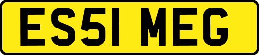 ES51MEG