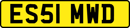 ES51MWD