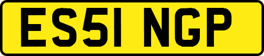 ES51NGP