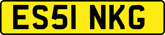 ES51NKG