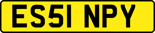 ES51NPY