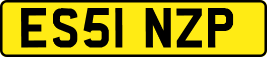 ES51NZP