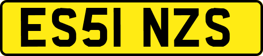 ES51NZS