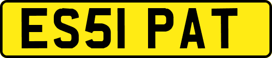 ES51PAT
