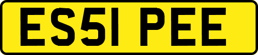 ES51PEE