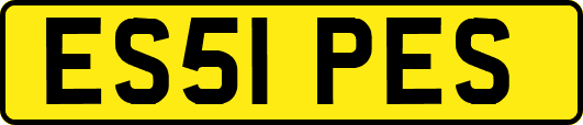 ES51PES