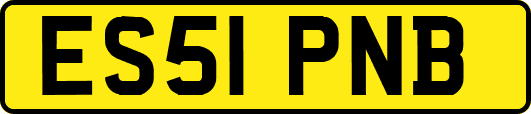 ES51PNB