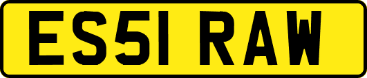 ES51RAW