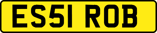 ES51ROB