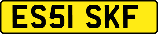 ES51SKF