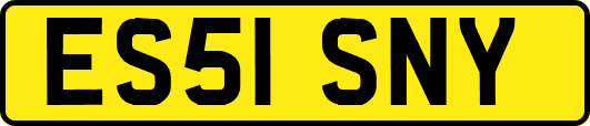 ES51SNY