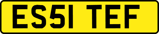 ES51TEF