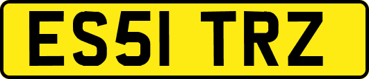 ES51TRZ