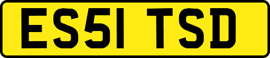 ES51TSD