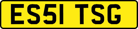 ES51TSG
