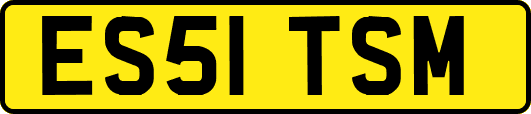 ES51TSM