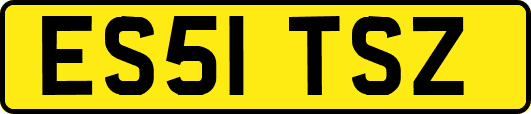 ES51TSZ