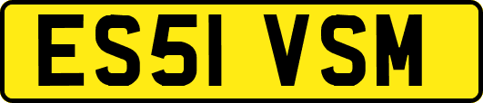 ES51VSM