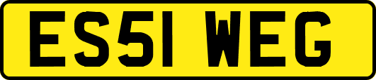 ES51WEG