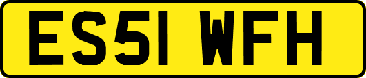 ES51WFH