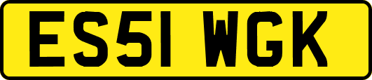 ES51WGK