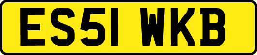 ES51WKB