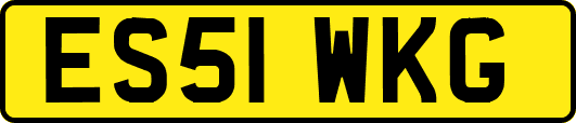 ES51WKG
