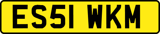 ES51WKM