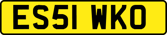 ES51WKO