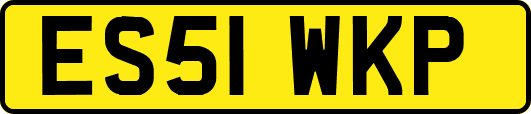 ES51WKP