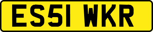 ES51WKR
