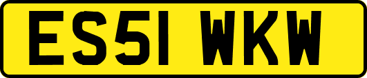 ES51WKW