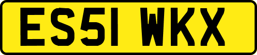 ES51WKX