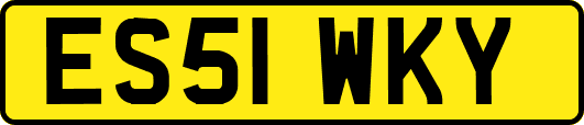 ES51WKY