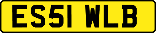 ES51WLB