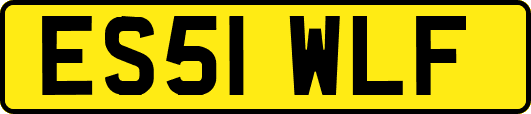 ES51WLF