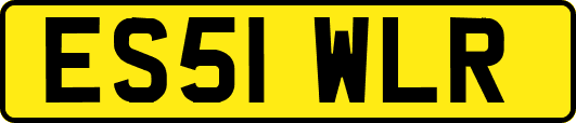 ES51WLR