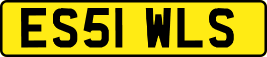 ES51WLS