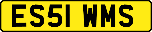 ES51WMS