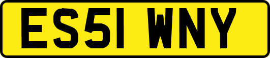 ES51WNY
