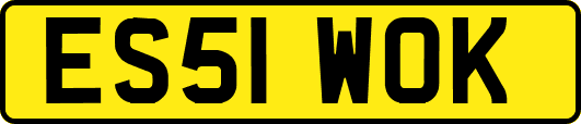 ES51WOK