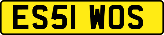 ES51WOS