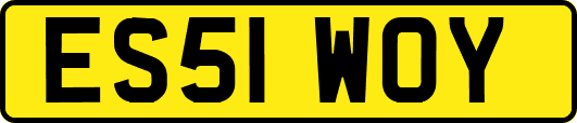 ES51WOY