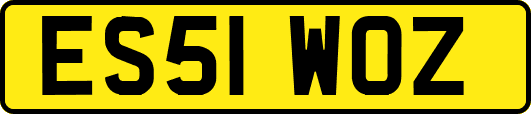ES51WOZ
